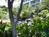 Fairmont Orchid Hawaii from VirtualTourist