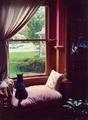 Tn-zb_2596-rooms-2