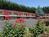 Safari Motor Inn Mcminnville::Yahoo! Travel