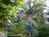 Rock Cottage Gardens Bed and Breakfast Inn::BedAndBreakfast.com