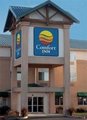 Comfort Inn South