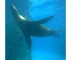 Pittsburgh Zoo & PPG Aquarium