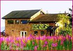 Aimee's Guest House