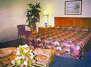 Web-oak_days-rooms-2