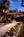 Best Western Palm Desert Resort from Priceline.com