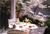 Bennett House Bed & Breakfast::BedAndBreakfast.com