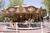 Adventureland Park::ThemeParksOnline