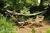 The Lost Dog Bed & Breakfast::BedAndBreakfast.com