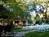 Carrington's Bluff Bed and Breakfast::BedAndBreakfast.com
