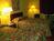 Comfort Inn New Stanton::Travelocity.com