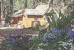 Hollys Place::DogFriendly.com