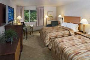 Web-sea_scib-rooms-2