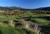 Beaver Run Resort::Priceline.com