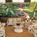 Best Western Coachman's Inn::Priceline.com