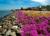 Crowne Plaza San Francisco International Airport::Orbitz