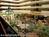 Holiday Inn University Plaza from Travelocity.com