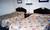 Americas Best Value Inn Portsmouth::Expedia