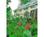 The Inn at Round Barn Farm::Epinions.com
