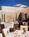 Luxe Summit Hotel Bel Air::ProfessionalTravelGuide.com