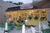 Staybridge Suites Naples::Orbitz
