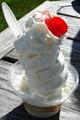 David's Dairy Treat