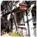 Coachman's Inn::Hotels.com