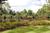Beachtree Villas::Expedia