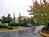 Courtyard by Marriott Seattle South Center::TripAdvisor