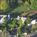 Lithia Springs Resort And Gardens::BedAndBreakfast.com