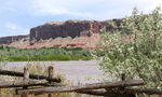 Tn-sandislandutah