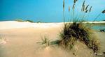 Matagorda Island State Park