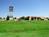 Best Western Douglas Inn & Conference Center::ProfessionalTravelGuide.com