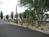 Westward Look Resort::TripAdvisor