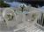 Siesta Key Bungalows::Yahoo! Travel