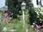 Candleberry Inn on Cape Cod::BedAndBreakfast.com