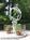 Busch Gardens Williamsburg::ThrillNetwork.com