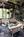 Rose Manor::BedAndBreakfast.com
