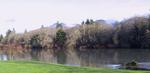 Quinault River Inn