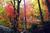 Best Western Payson Inn from Orbitz