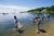 Waquoit Bay Nat. Estuarine Res::ReserveAmerica.com