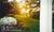 The Mansion Bed and Breakfast::BedAndBreakfast.com