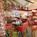 Courtyard by Marriott Wilmington North Carolina::ProfessionalTravelGuide.com