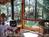 Volcano Village Lodge::BedAndBreakfast.com