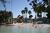Disney's Beach Club::ZoomAndGo