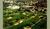 Hilton Bloomingdale/Ind Lks Res::Yahoo! Travel