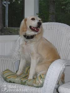 The Quarter Horse Inn::BedAndBreakfast.com