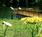 Lakeview RV Park & Camping::Lakeviewrvpark.com