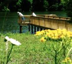 Lakeview RV Park & Camping::Lakeviewrvpark.com