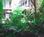 Place D Armes Hotel::TripAdvisor