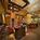 Hyatt Place Busch Gardens::Expedia